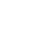 section-title